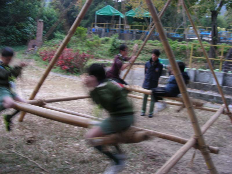 DSCN7977