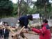 DSCN7980