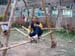 DSCN7990