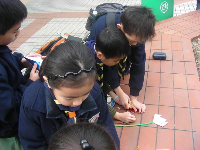 DSCN8412