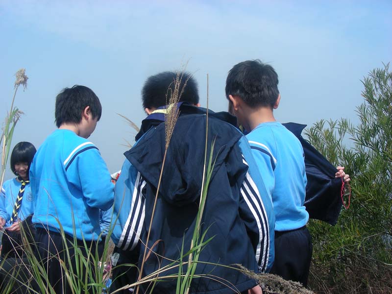 DSCN8429