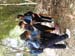 DSCN2890