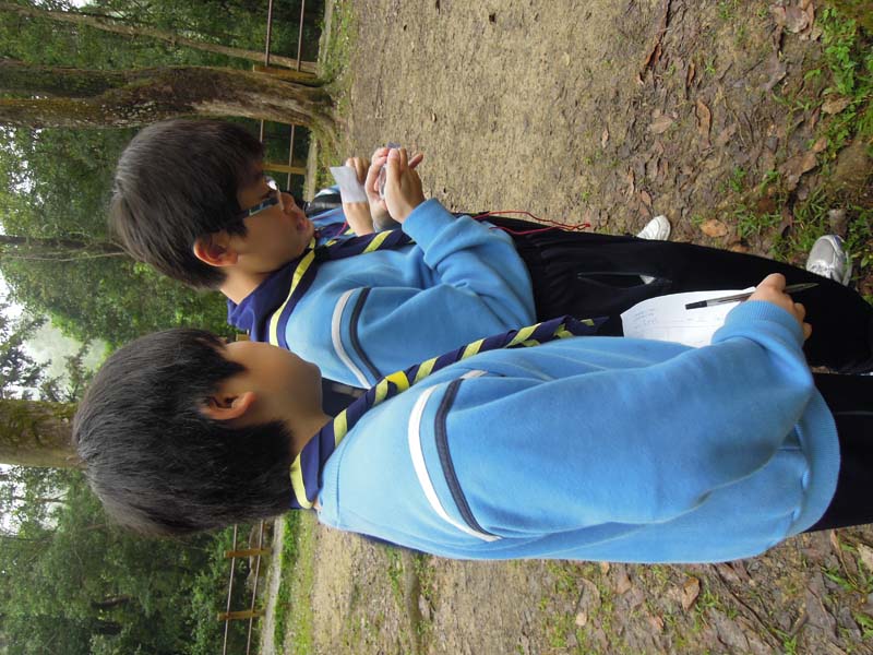 DSCN3136