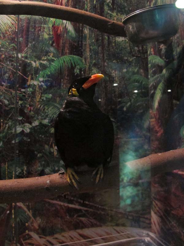 IMG_3307