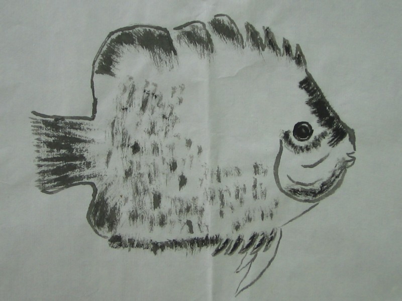 照片 308.jpg