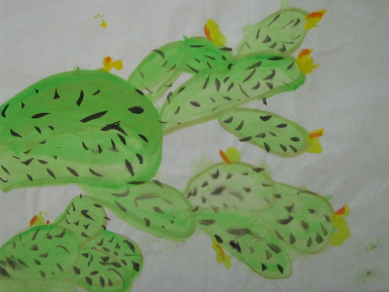 照片 224.jpg