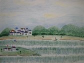 IMG_7077.jpg