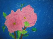 IMG_7074.jpg