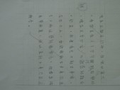 照片 343.jpg