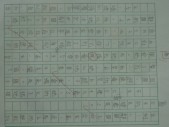 照片 378.jpg