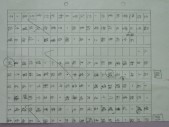 照片 294.jpg