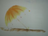 照片 269.jpg