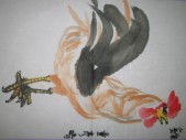 照片 227.jpg