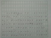 照片 234.jpg