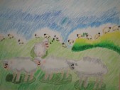IMG_7362.jpg