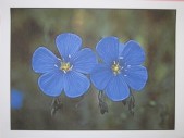 IMG_6374.jpg