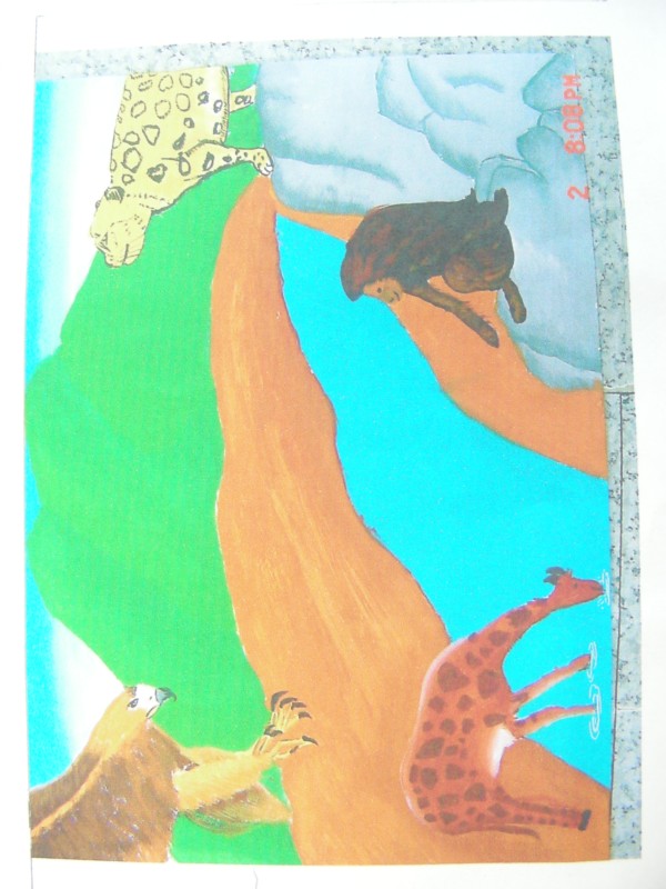 DSCN9579.JPG
