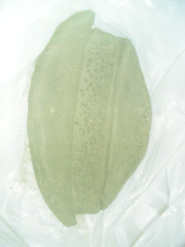 DSCN9653.JPG