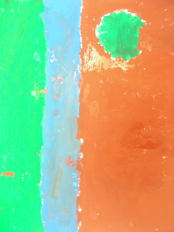 DSCN0424.JPG