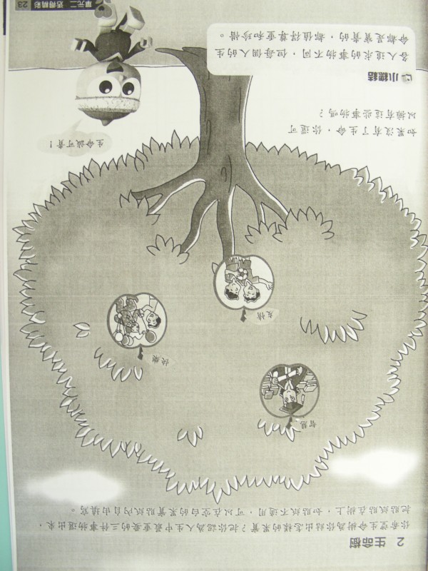 DSCN8888.JPG