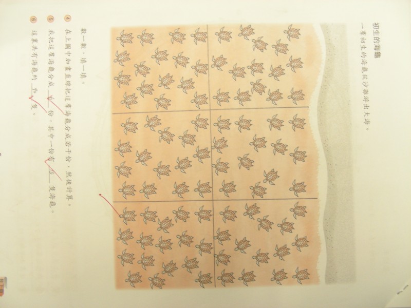DSCN9018.JPG