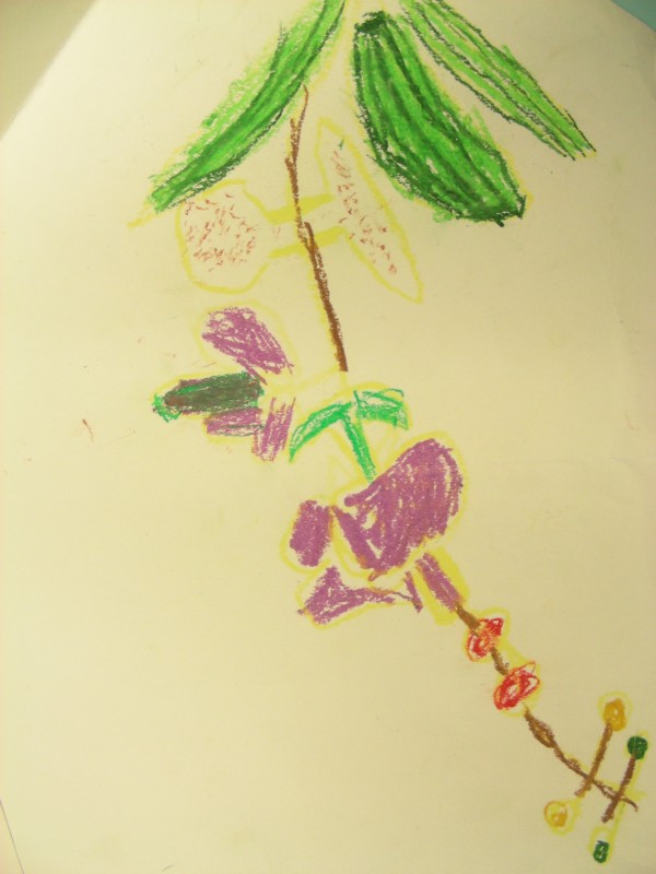 DSCN8531.JPG