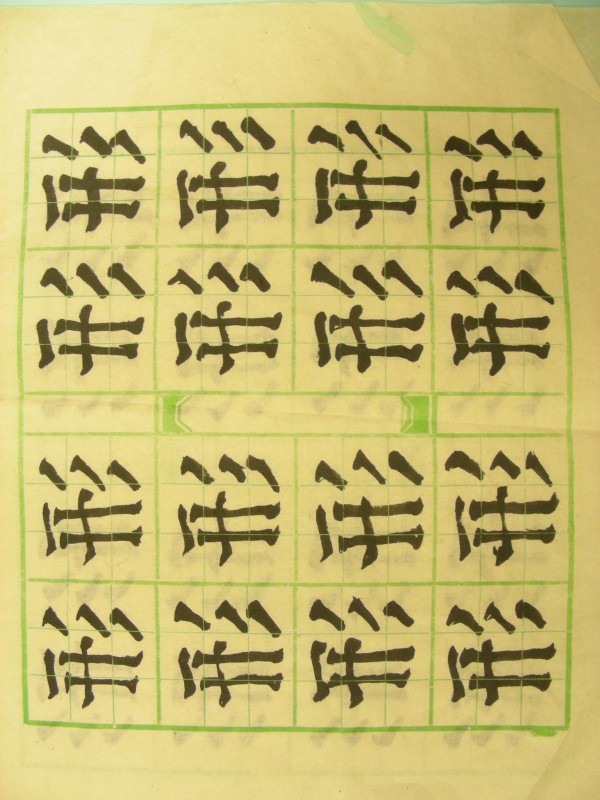 DSCN8718.JPG