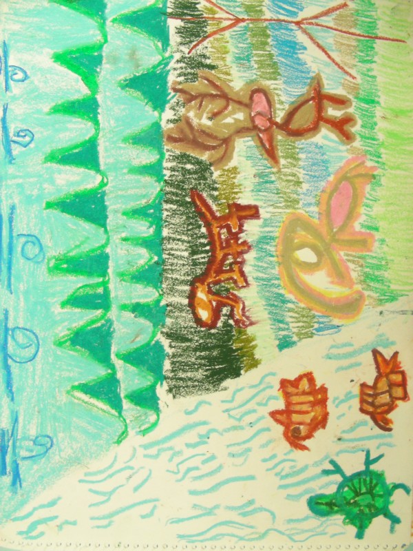 DSCN8155.JPG