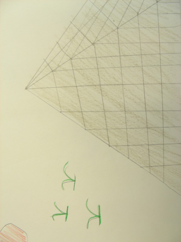 DSCN9343.JPG