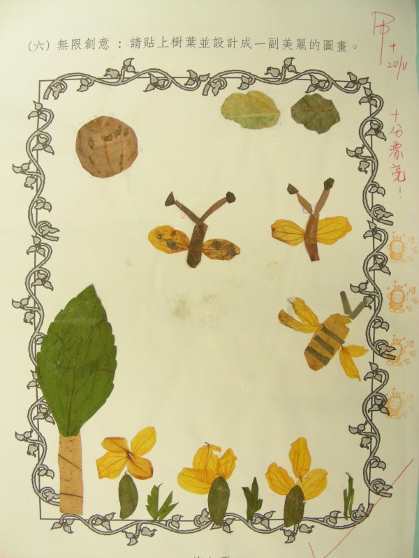 DSCN7781.JPG