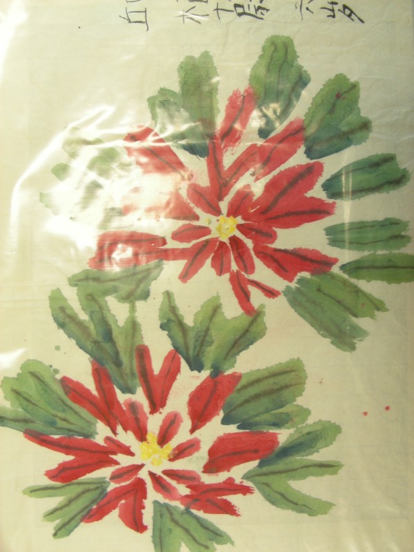 DSCN9160.JPG