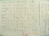 DSCN8236.JPG