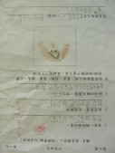 DSCN6723.JPG