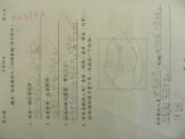 DSCN6729.JPG