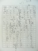 DSCN9587.JPG