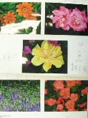 DSCN9183.JPG