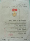 DSCN6719.JPG