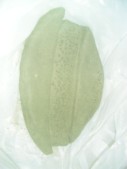 DSCN9653.JPG