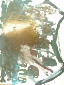 DSCN0465.JPG
