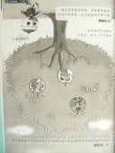 DSCN8888.JPG