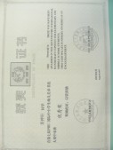 DSCN8873.JPG