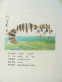 DSCN8874.JPG