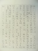 DSCN8791.JPG