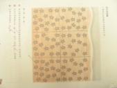 DSCN9018.JPG