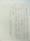 DSCN8867.JPG