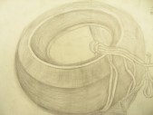 DSCN8444.JPG