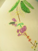 DSCN8531.JPG