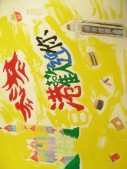 DSCN8717.JPG