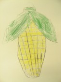DSCN8115.JPG
