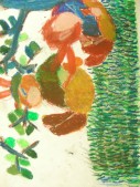 DSCN8076.JPG